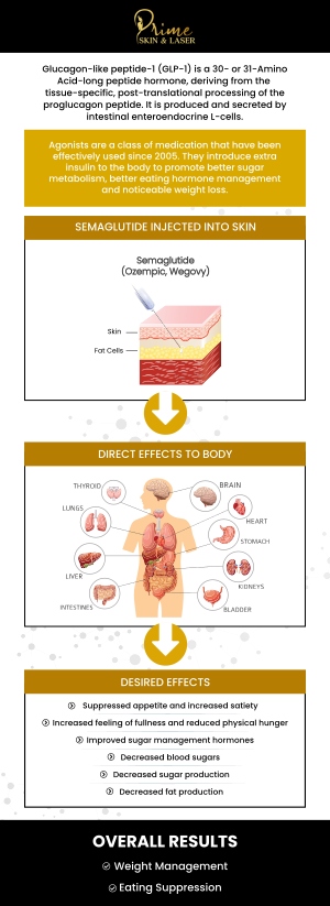 Semaglutide GLP-1 injections are an effective weight loss treatment that helps regulate appetite and supports healthy weight management. At Prime Skin & Laser, we provide personalized plans to ensure optimal results. To learn more about the cost and get started, visit us today. Contact us for more information or schedule an appointment online. We are conveniently located at 5748 N Canton Center Rd, Canton, MI 48187. Semaglutide GLP-1 injections are an effective weight loss treatment that helps regulate appetite and supports healthy weight management. At Prime Skin & Laser, we provide personalized plans to ensure optimal results. To learn more about the cost and get started, visit us today. Contact us for more information or schedule an appointment online. We are conveniently located at 5748 N Canton Center Rd, Canton, MI 48187.