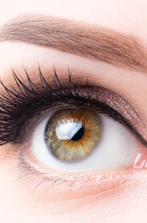 Brow Lift Specialist in Canton, MI Brow Lift Specialist in Canton, MI